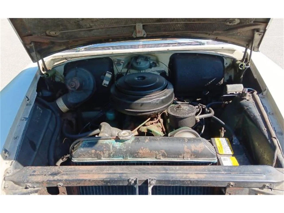1956 Buick Special - Image 4 of 13