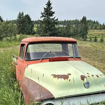 1956 Ford F100