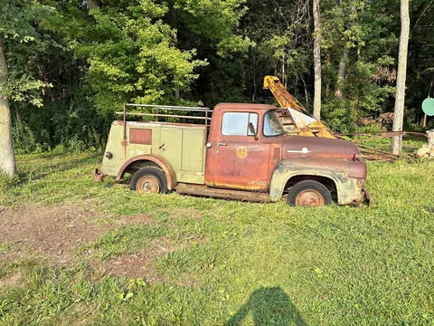 1956 Ford F100