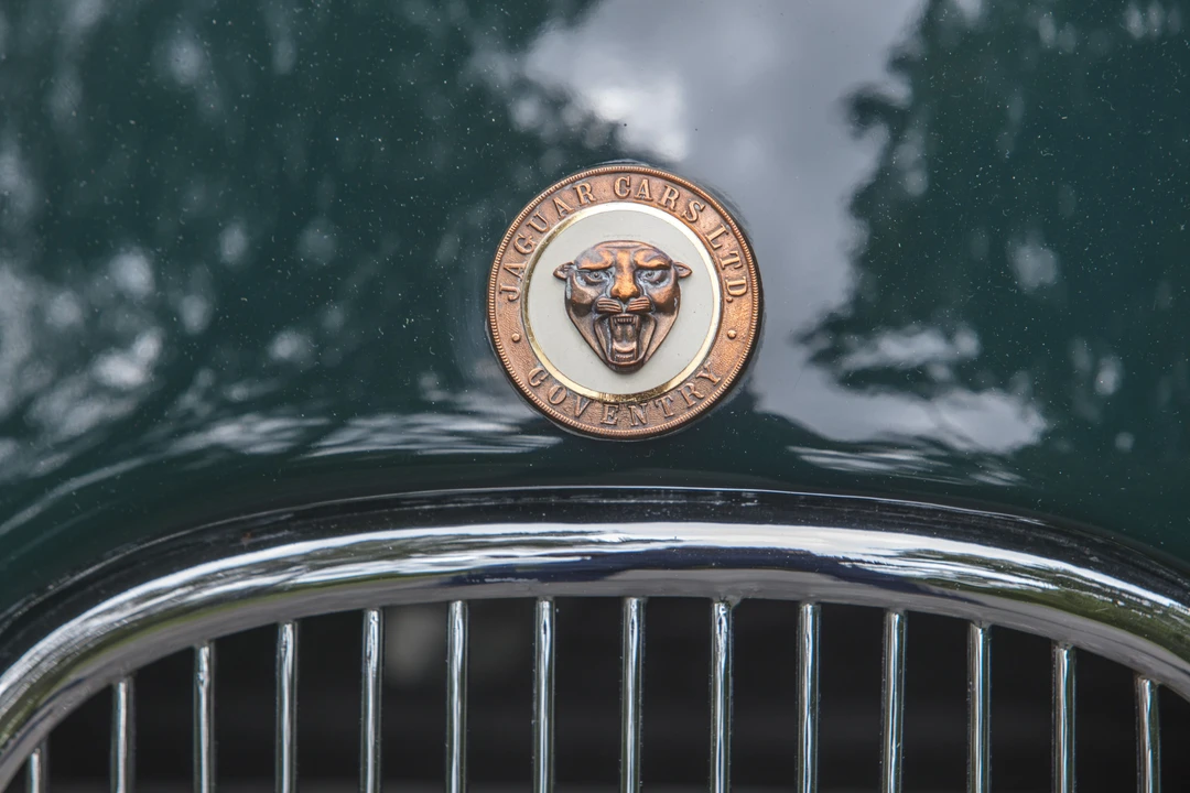 1956 Jaguar Replica - Image 5 of 31