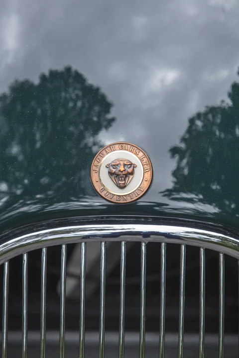 1956 Jaguar Replica - Image 15 of 31