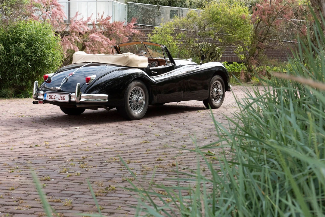 1956 Jaguar XK140 DHC Drophead - Image 6 of 30