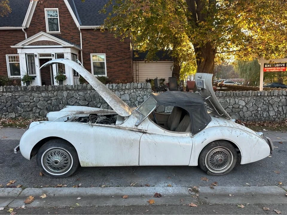 1956 Jaguar XK - Image 7 of 13