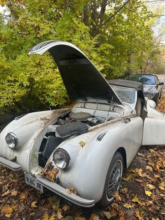 1956 Jaguar XK - Image 2 of 13