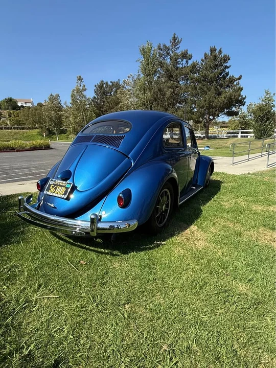 1956 Volkswagen Beetle (Oval Window) - Image 5 of 15