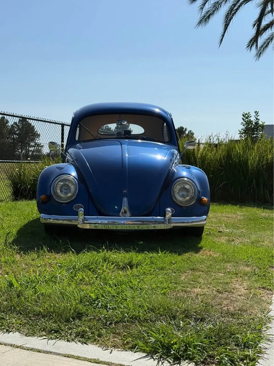 1956 Volkswagen Beetle (Oval Window) - Image 4 of 15