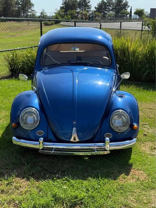 1956 Volkswagen Beetle (Oval Window) - Image 6 of 15