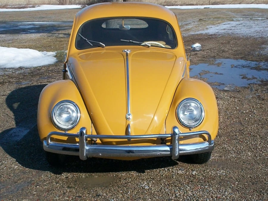 1956 Volkswagen Beetle (Oval Window) - Image 7 of 8