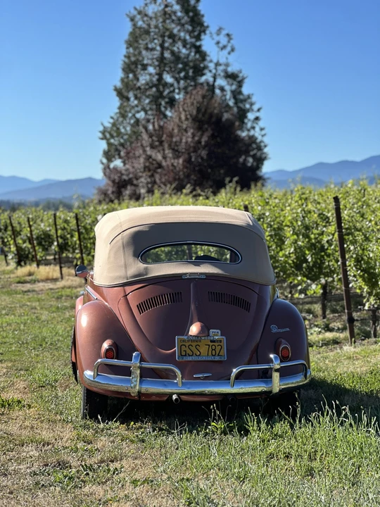 1956 Volkswagen Beetle (Oval Window) - Image 31 of 31