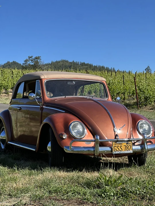 1956 Volkswagen Beetle (Oval Window) - Image 29 of 31