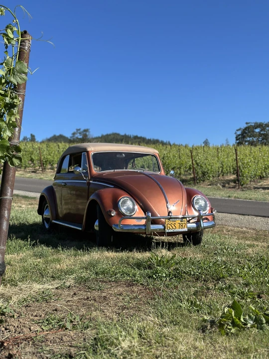 1956 Volkswagen Beetle (Oval Window) - Image 27 of 31