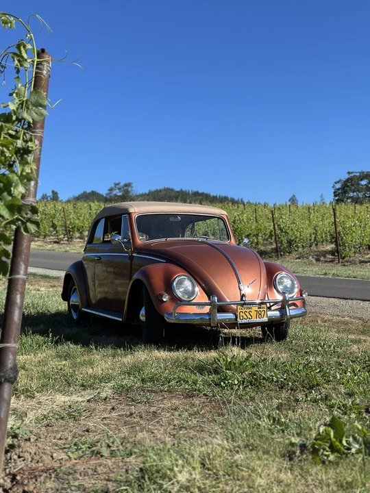 1956 Volkswagen Beetle (Oval Window) - Image 28 of 31
