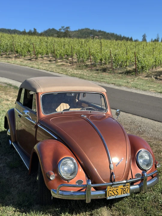 1956 Volkswagen Beetle (Oval Window) - Image 26 of 31
