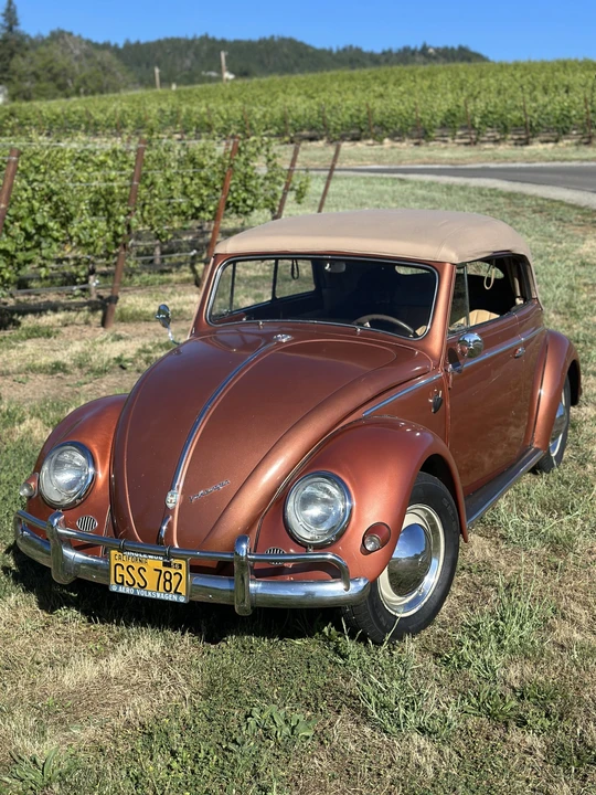 1956 Volkswagen Beetle (Oval Window) - Image 25 of 31