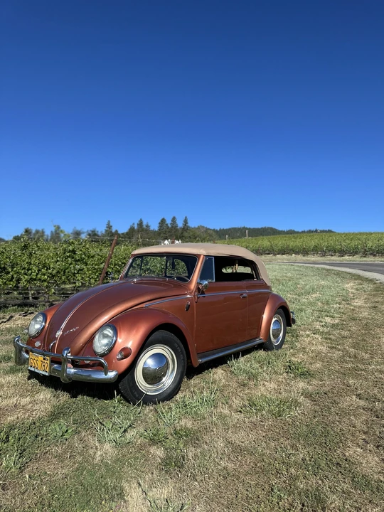 1956 Volkswagen Beetle (Oval Window) - Image 24 of 31