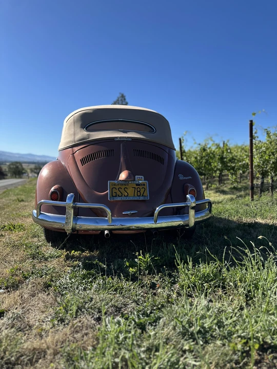 1956 Volkswagen Beetle (Oval Window) - Image 30 of 31