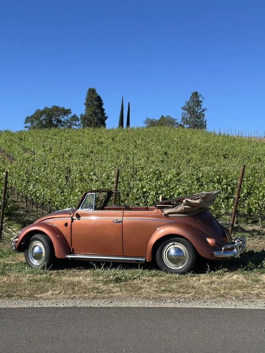 1956 Volkswagen Beetle (Oval Window) - Image 23 of 31