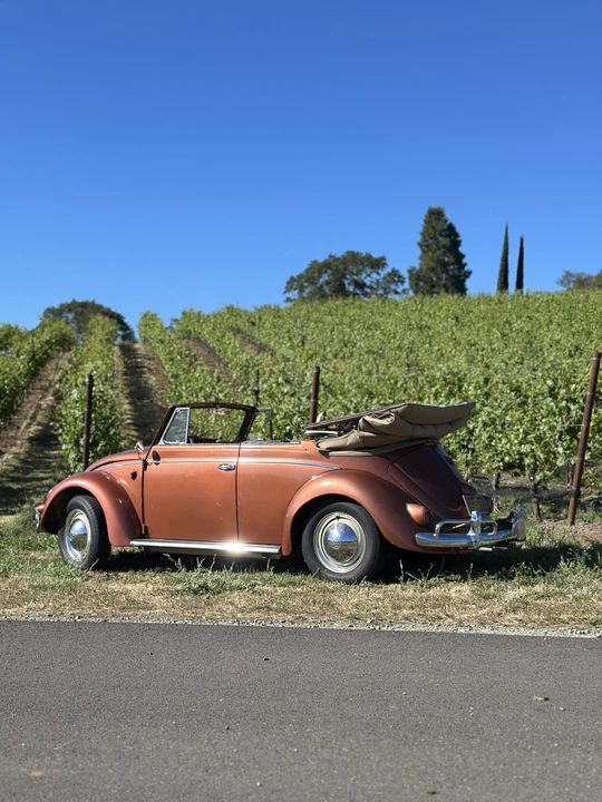 1956 Volkswagen Beetle (Oval Window) - Image 22 of 31
