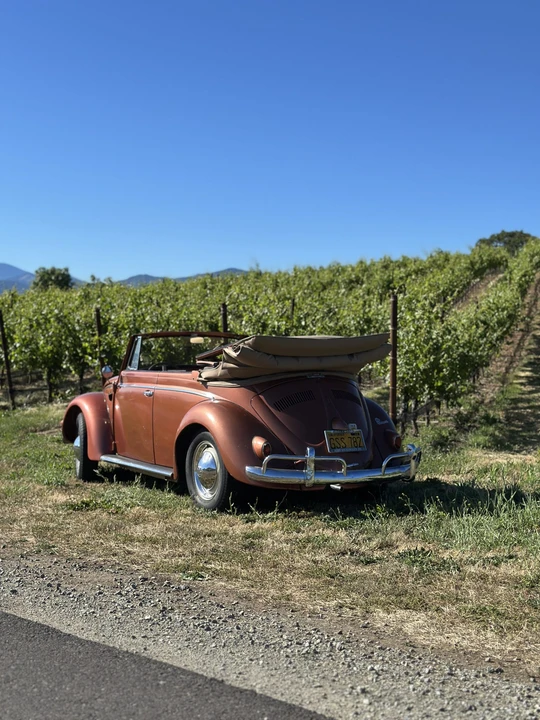 1956 Volkswagen Beetle (Oval Window) - Image 18 of 31
