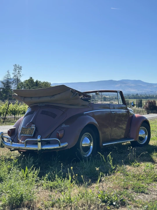 1956 Volkswagen Beetle (Oval Window) - Image 16 of 31