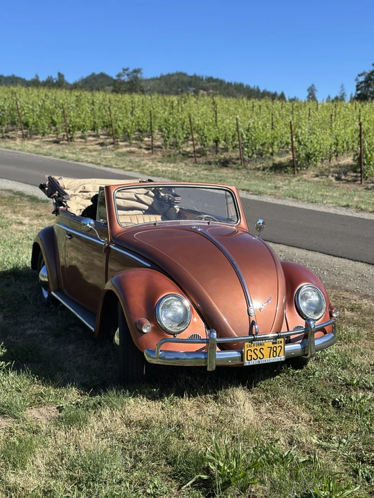 1956 Volkswagen Beetle (Oval Window) - Image 15 of 31