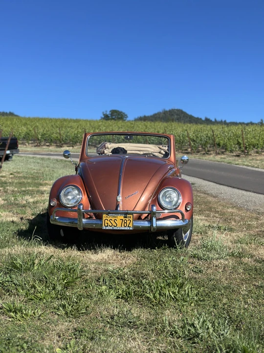 1956 Volkswagen Beetle (Oval Window) - Image 14 of 31