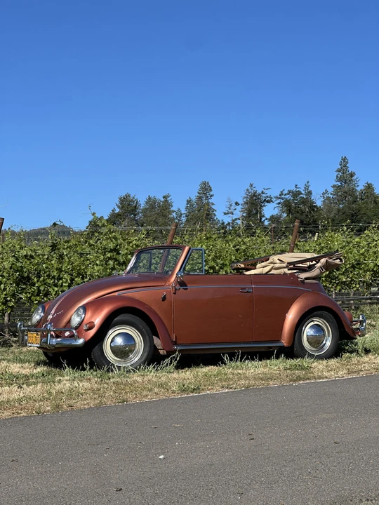1956 Volkswagen Beetle (Oval Window) - Image 13 of 31