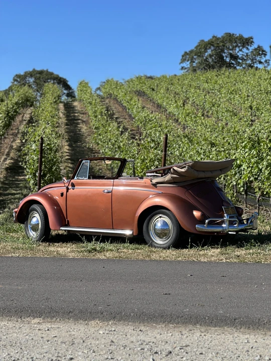 1956 Volkswagen Beetle (Oval Window) - Image 20 of 31