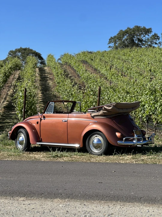 1956 Volkswagen Beetle (Oval Window) - Image 21 of 31