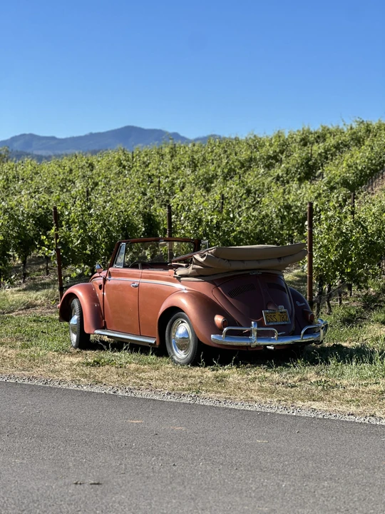 1956 Volkswagen Beetle (Oval Window) - Image 19 of 31