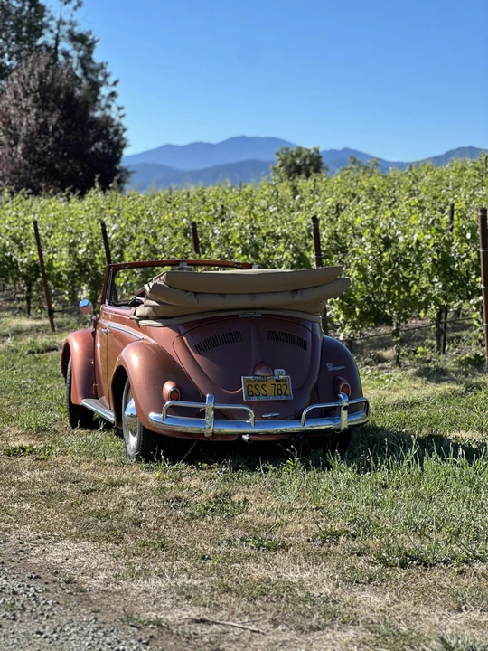 1956 Volkswagen Beetle (Oval Window) - Image 17 of 31