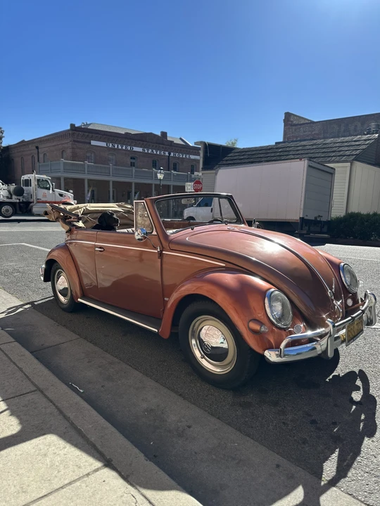 1956 Volkswagen Beetle (Oval Window) - Image 12 of 31