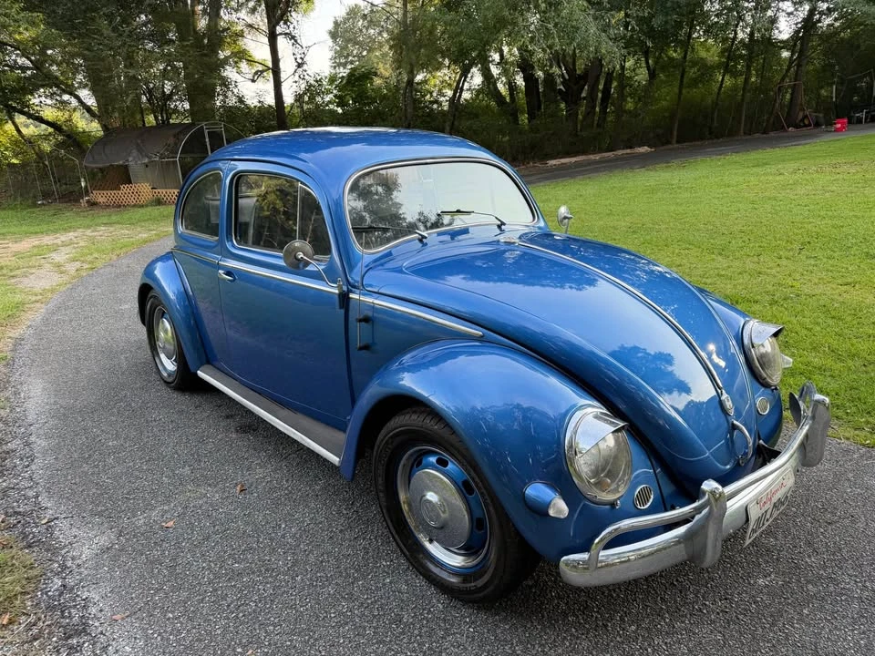 1956 Volkswagen Beetle (Oval Window) - Image 3 of 9