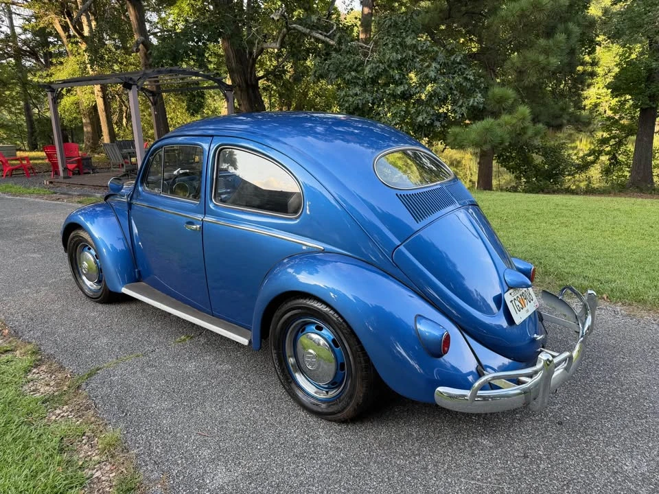 1956 Volkswagen Beetle (Oval Window) - Image 5 of 9