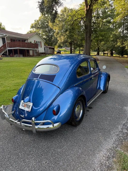 1956 Volkswagen Beetle (Oval Window) - Image 4 of 9