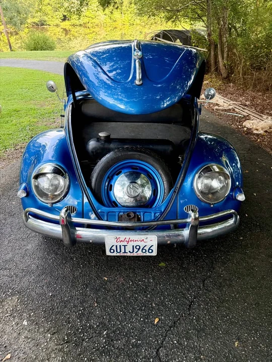 1956 Volkswagen Beetle (Oval Window) - Image 7 of 9