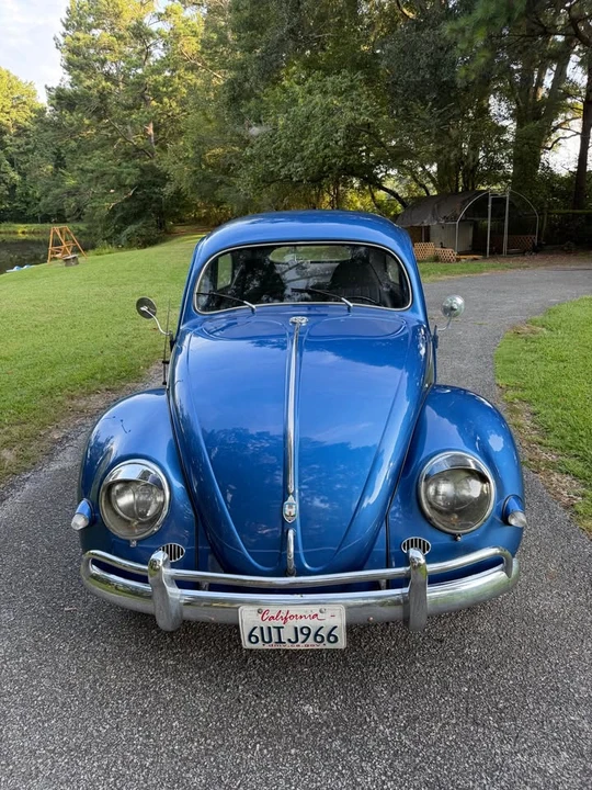 1956 Volkswagen Beetle (Oval Window) - Image 2 of 9