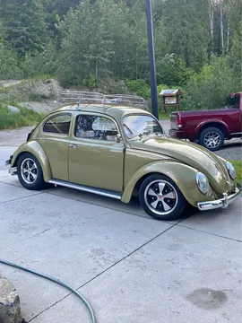 1956 Volkswagen Beetle