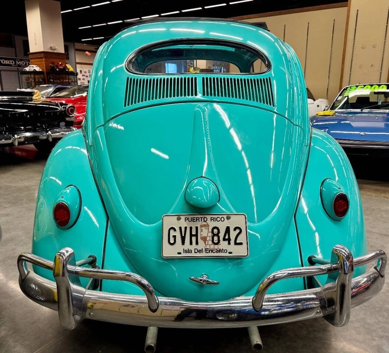 1956 Volkswagen Beetle (Oval Window) - Image 9 of 21