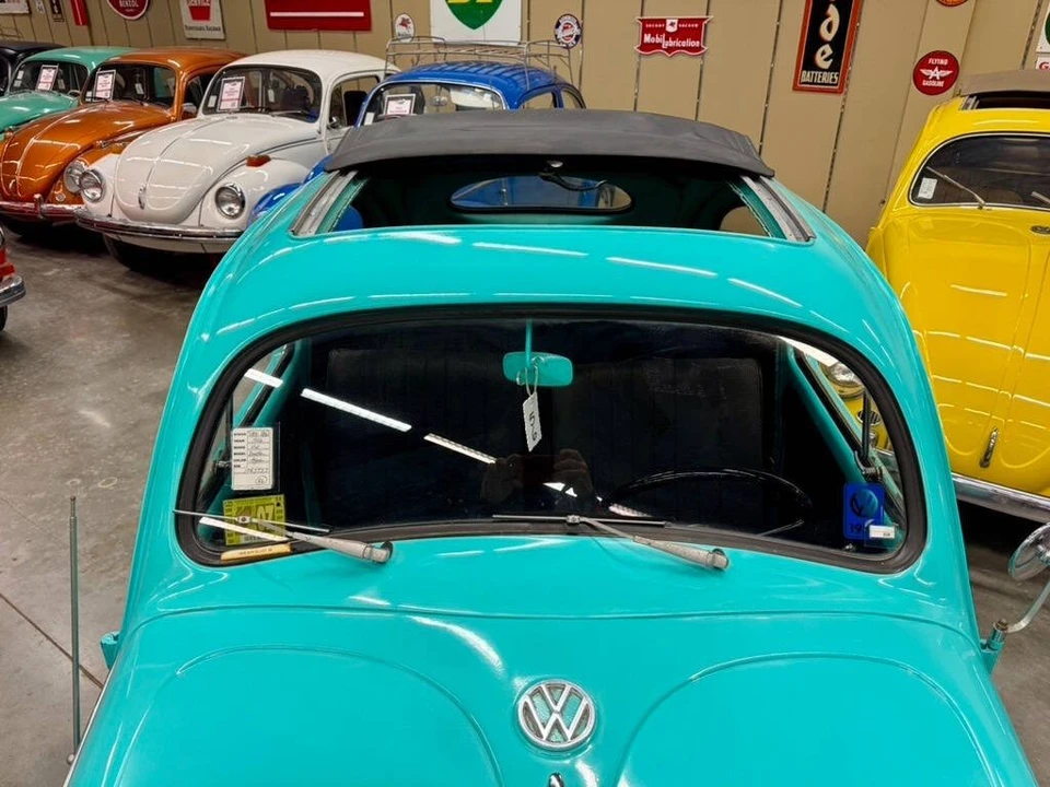 1956 Volkswagen Beetle (Oval Window) - Image 19 of 21