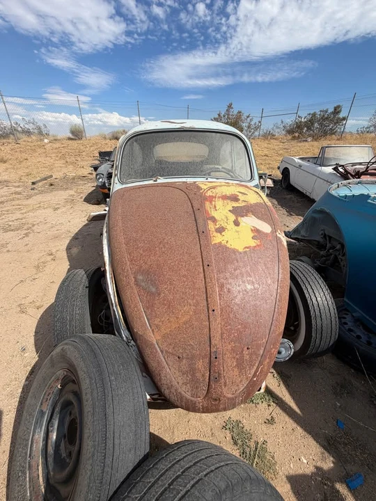 1956 Volkswagen Beetle (Oval Window) - Image 5 of 12