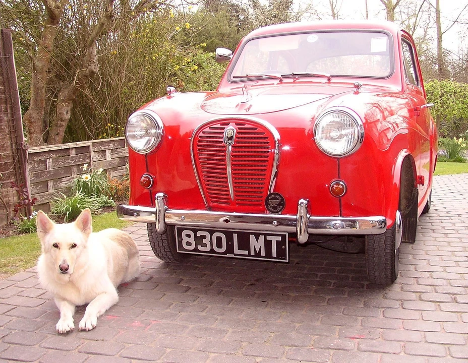 1957 Austin A30 & A35 - Image 2 of 2