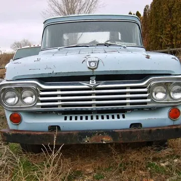1957 Ford F100