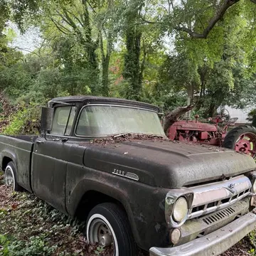 1957 Ford F100