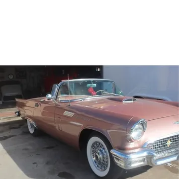 1957 Ford Thunderbird Bronze