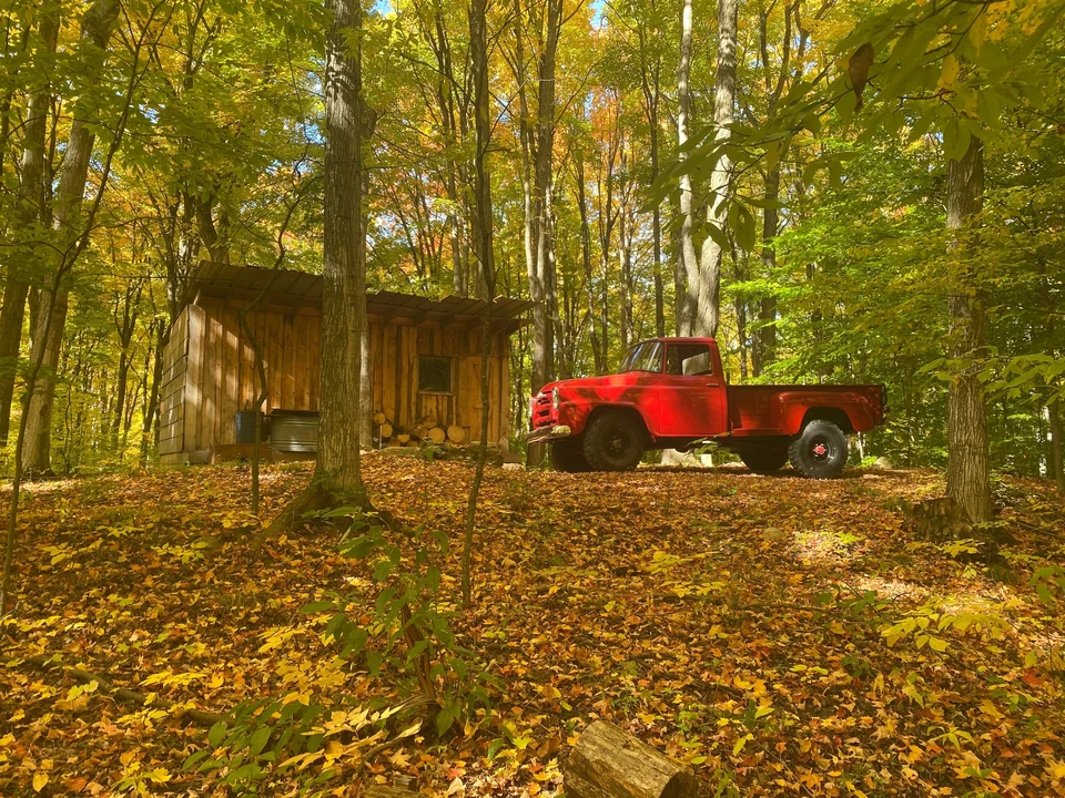 1957 International Harvester Pickup - Image 2 of 31