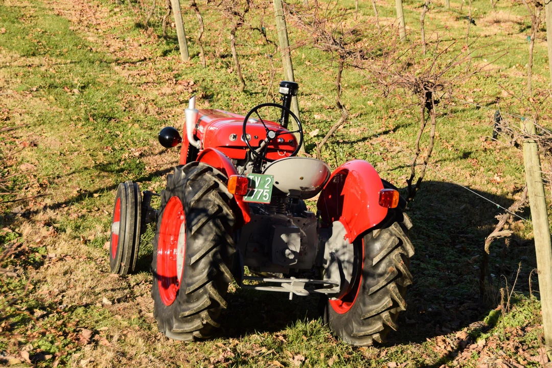 1957 Lamborghini Tractors - Image 4 of 19