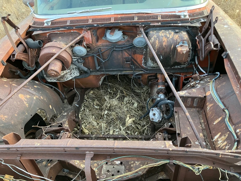 1957 Oldsmobile 88 - Image 15 of 15