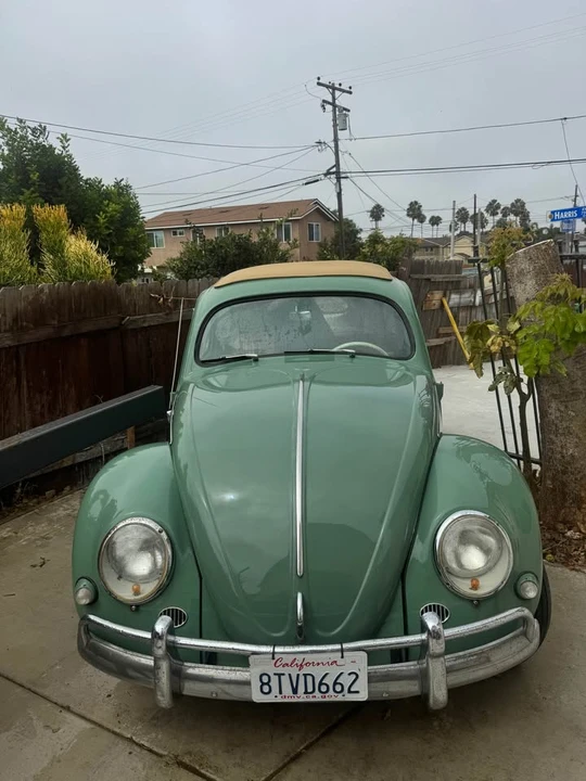 1957 Volkswagen Beetle (Oval Window) - Image 2 of 8