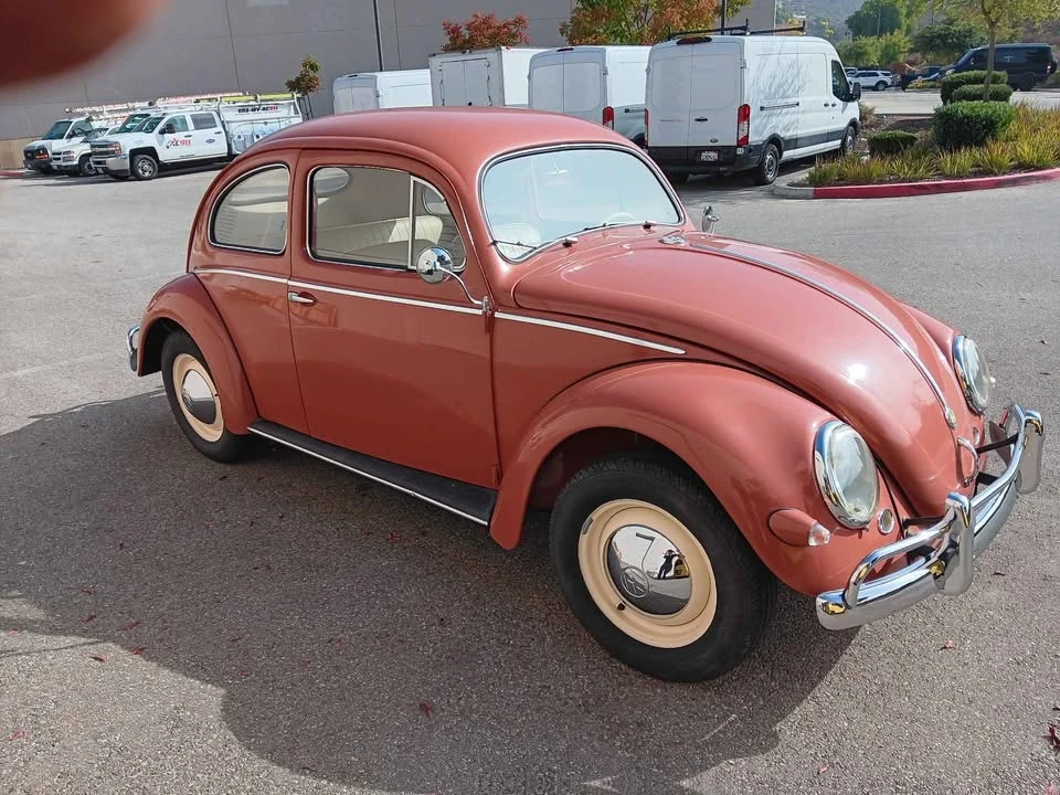 1957 Volkswagen Beetle (Oval Window) - Image 5 of 9